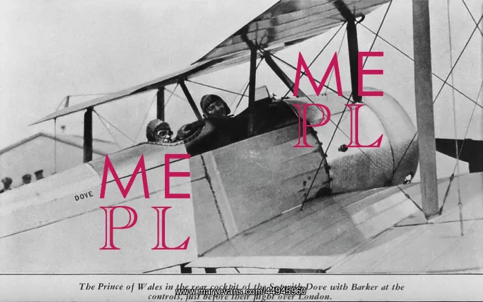 : Sopwith Dove : Sopwith Dove