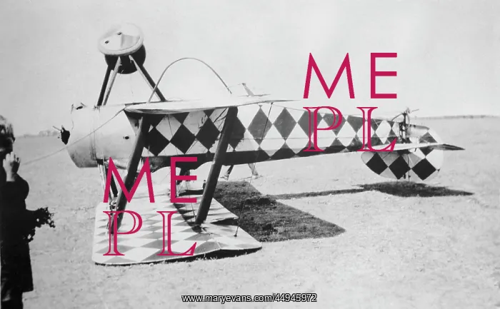: Sopwith Dove : Sopwith Dove