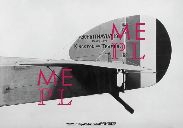 : Sopwith Dove : Sopwith Dove