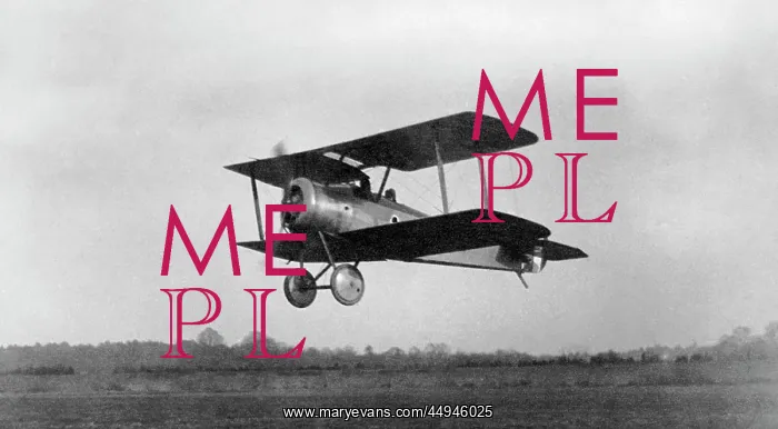 : Sopwith Dove : Sopwith Dove