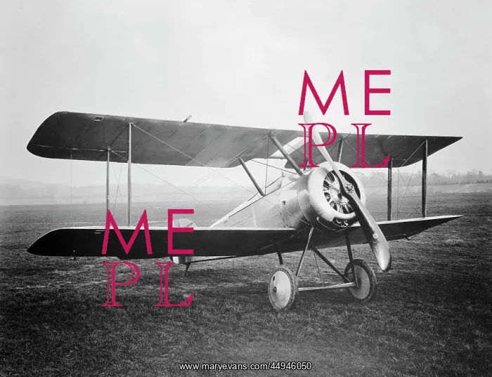 : Sopwith Dove : Sopwith Dove