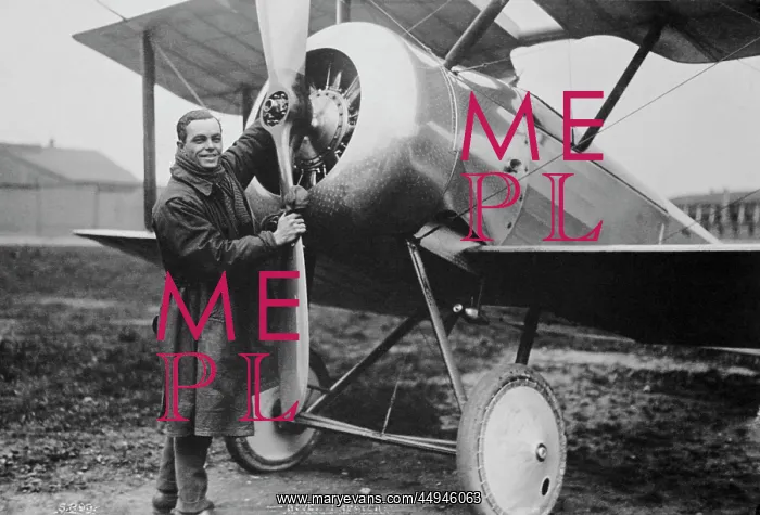 : Sopwith Dove : Sopwith Dove