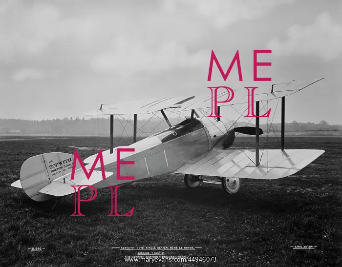 : Sopwith Dove : Sopwith Dove