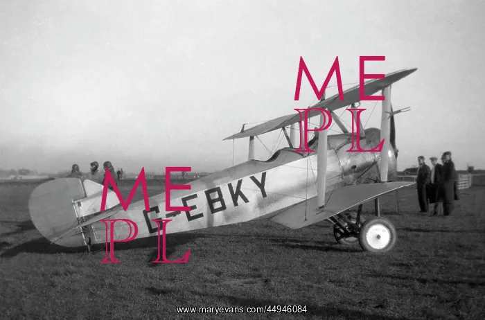 : Sopwith Dove : Sopwith Dove