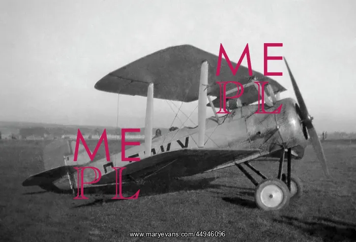 : Sopwith Dove : Sopwith Dove