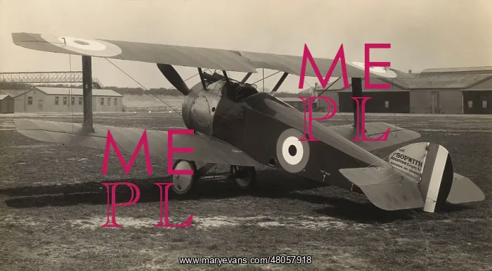 : Sopwith F1 / 1 ~Taper Wing Camel : Sopwith F1 / 1 ~Taper Wing Camel