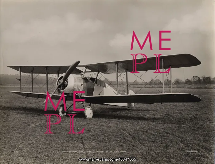 : Sopwith Gnu three-seater : Sopwith Gnu three-seater
