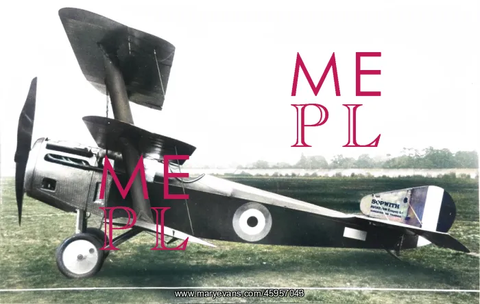 : Sopwith Hispano -Suiza Triplane-built and flown closely? : Sopwith Hispano -Suiza Triplane-built and flown closely?