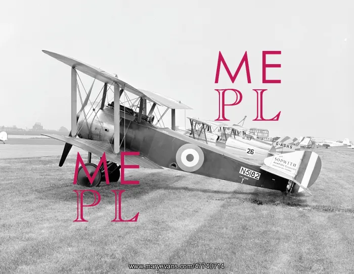 : Sopwith Pup N5182 : Sopwith Pup N5182