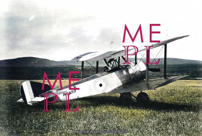  : Sopwith Pup, (on the ground)