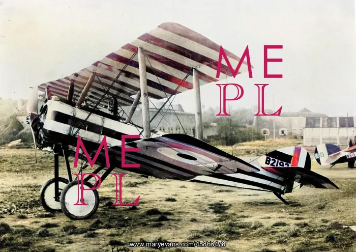 : Sopwith Pup of the RFC sporting an individualistic live? : Sopwith Pup of the RFC sporting an individualistic live?