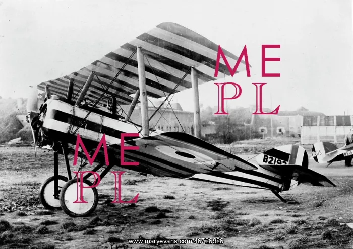 : Sopwith Pup of the RFC sporting an individualistic live : Sopwith Pup of the RFC sporting an individualistic live