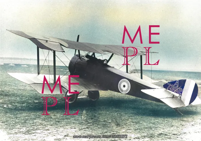 : Sopwith Pup single-seat fighter : Sopwith Pup single-seat fighter