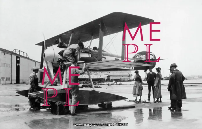  : Sopwith Schneider