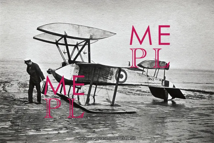 : Sopwith Schneider : Sopwith Schneider