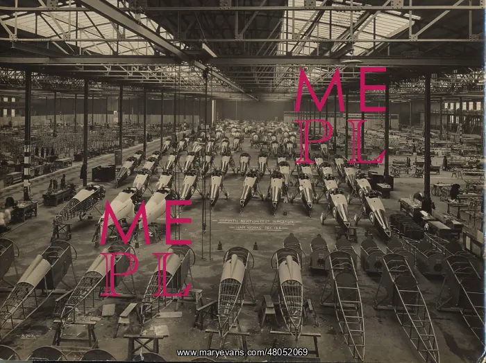 : Sopwith Snipe and Salamander fuselages in the Ham works : Sopwith Snipe and Salamander fuselages in the Ham works