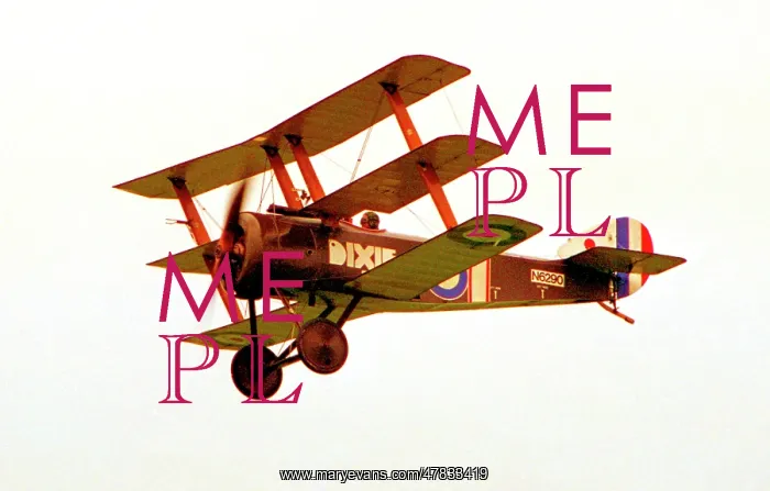 : Sopwith Triplane G-BOCK - N6290 : Sopwith Triplane G-BOCK - N6290