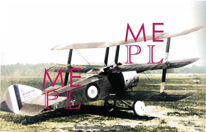 : Sopwith Triplane single-seat fighter : Sopwith Triplane single-seat fighter