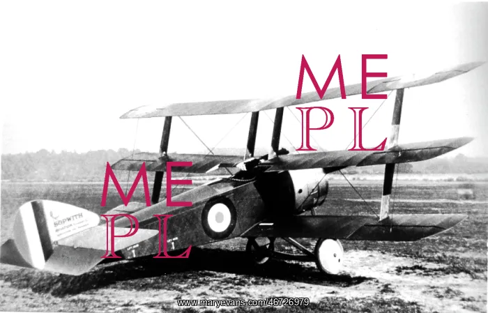: Sopwith Triplane single-seat fighter : Sopwith Triplane single-seat fighter