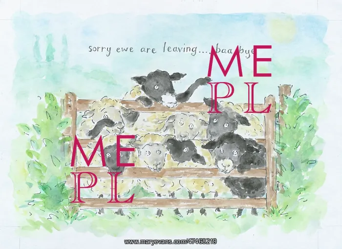 : Sorry ewe are leaving - baa bye - eight sheep behind a gate : Sorry ewe are leaving - baa bye - eight sheep behind a gate