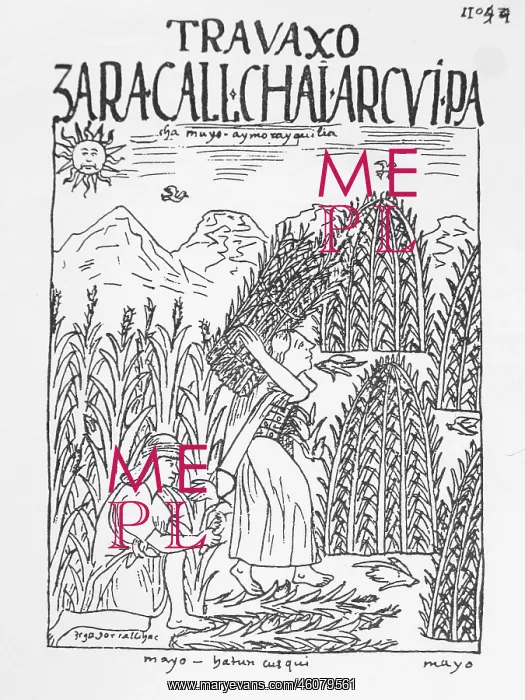 : Sorting the harvest, Inca : Sorting the harvest, Inca