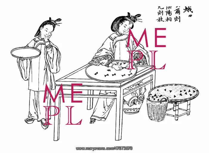 : Sorting Silkworm Cocoons, Silk Making in China : Sorting Silkworm Cocoons, Silk Making in China