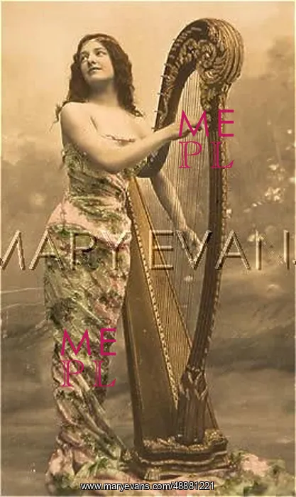  : SOULFUL HARPIST