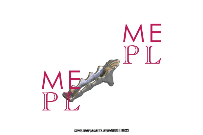  : Soup Bowl Wedge Silver