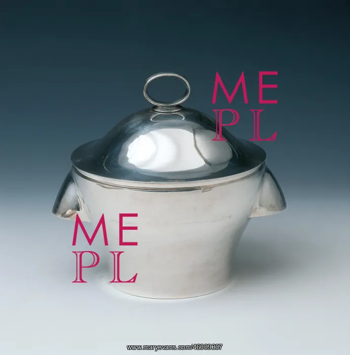 : Soup tureen : Soup tureen