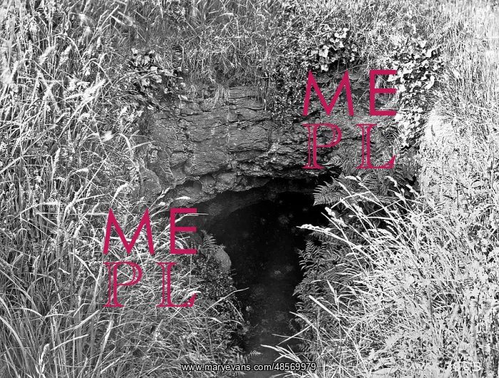 : A Souterrain in Mr Beck's garden, Templepatrick : A Souterrain in Mr Beck's garden, Templepatrick