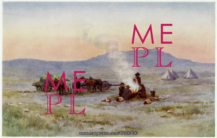  : SOUTH AFRICA / CAMP 1905