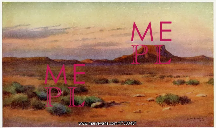  : SOUTH AFRICA / KAROO 1905