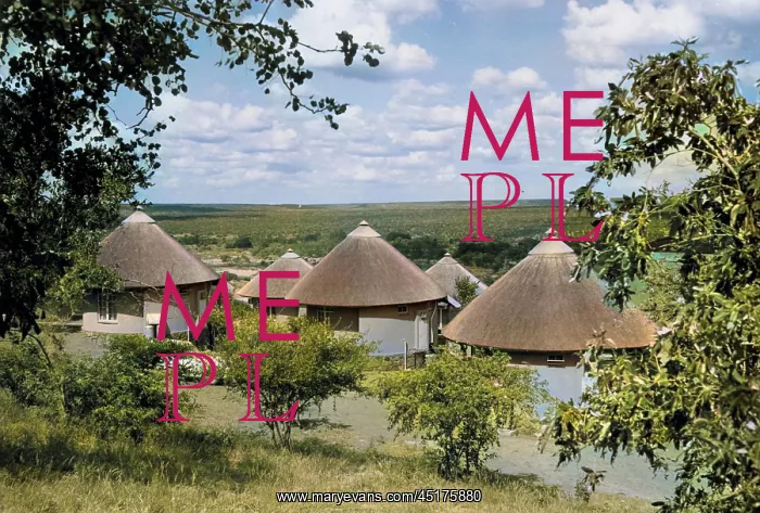  : SOUTH AFRICA / KRUGER