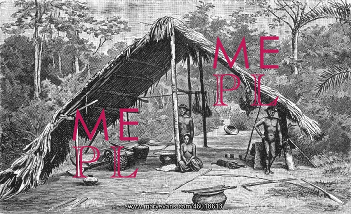 : South America, native hut at Amazon river, illustration : South America, native hut at Amazon river, illustration