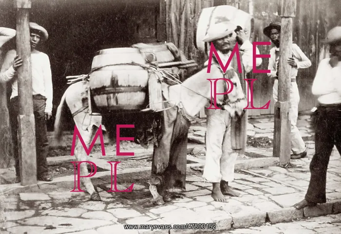 : South America, pack horse with its load and handler : South America, pack horse with its load and handler