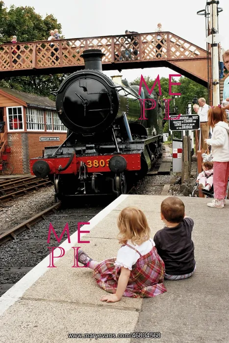 : South Devon Railway at Buckfastleigh, Devon : South Devon Railway at Buckfastleigh, Devon