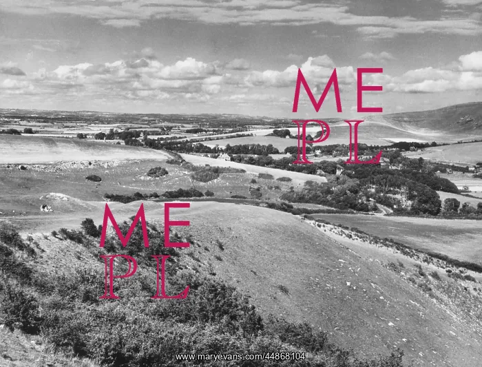 : THE SOUTH DOWNS : THE SOUTH DOWNS