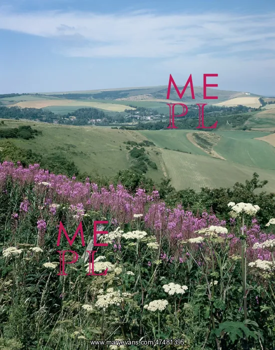 : The South Downs ' Sussex : The South Downs ' Sussex