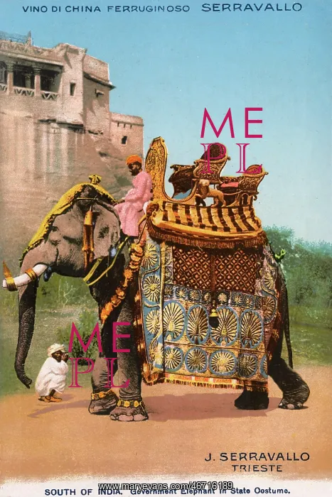 : South Indian Elephant in full State garb : South Indian Elephant in full State garb