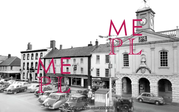  : South Molton, the Square c1960