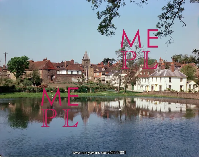 : South Pond, Midhurst : South Pond, Midhurst