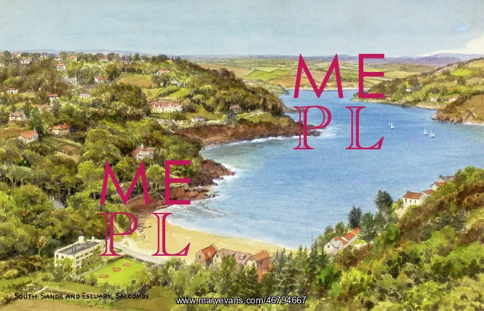 : South Sands and Estuary, Salcombe, Devon : South Sands and Estuary, Salcombe, Devon