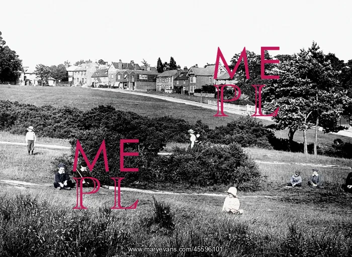  : Southborough, Common c1890
