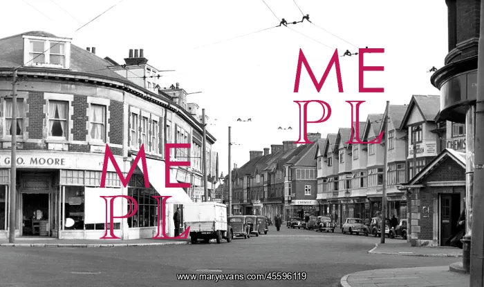  : Southbourne, St Catherine's Road c1955