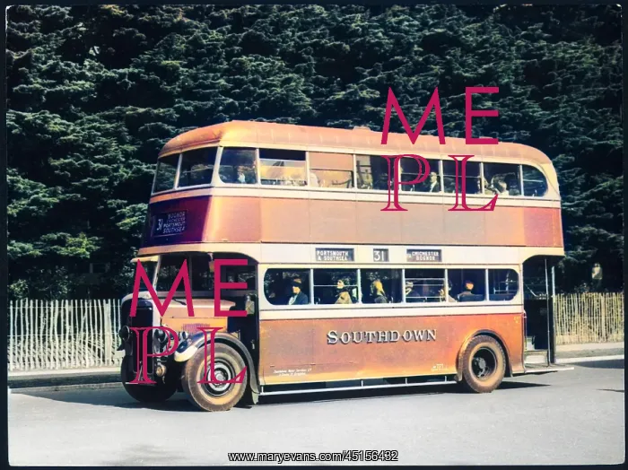 : SOUTHDOWN OMNIBUS : SOUTHDOWN OMNIBUS