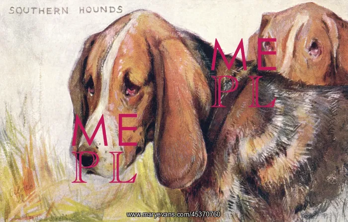 : Southern Hounds : Southern Hounds