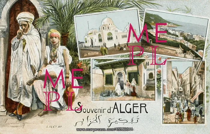 : Souvenir postcard from Algiers : Souvenir postcard from Algiers