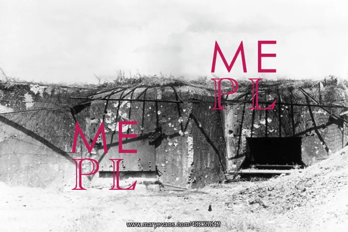 : Soviet bunker on the Dniester, 1941 : Soviet bunker on the Dniester, 1941