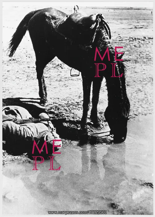 : SOVIET CAVALRYMAN : SOVIET CAVALRYMAN