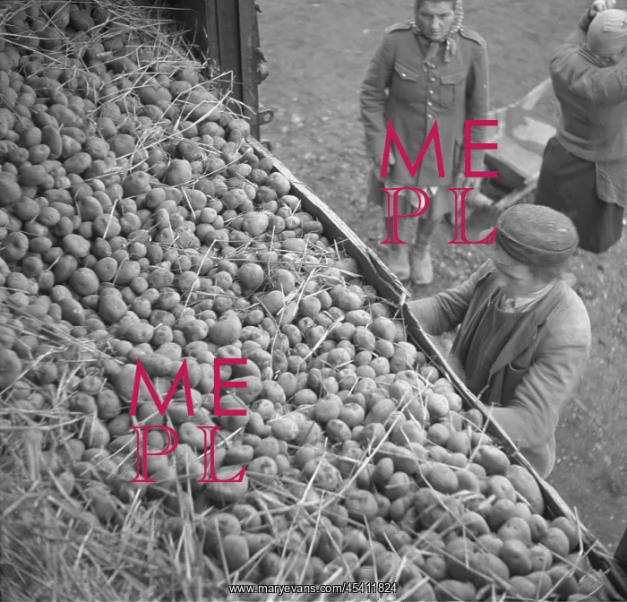 : Soviet commodities import to Czechoslovakia : Soviet commodities import to Czechoslovakia